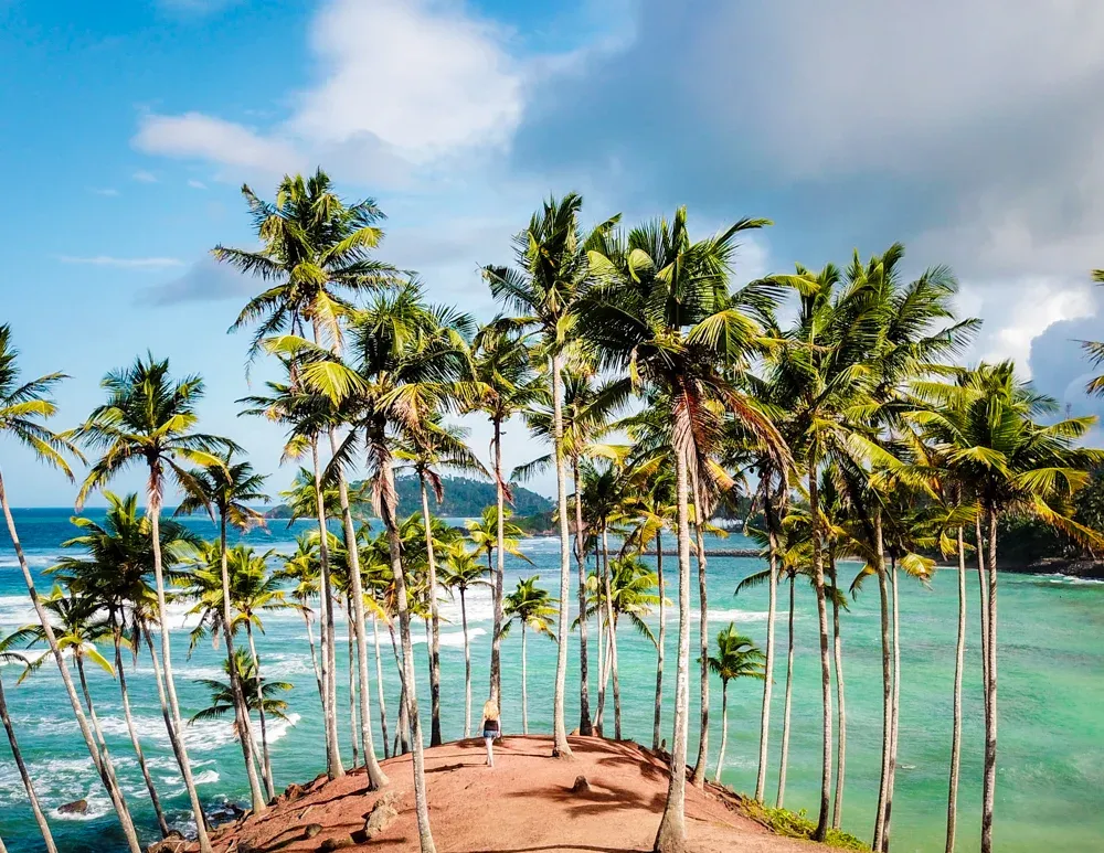 Southern Coastal Escape