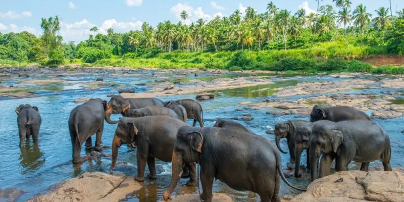 Heritage Hill Country Tour